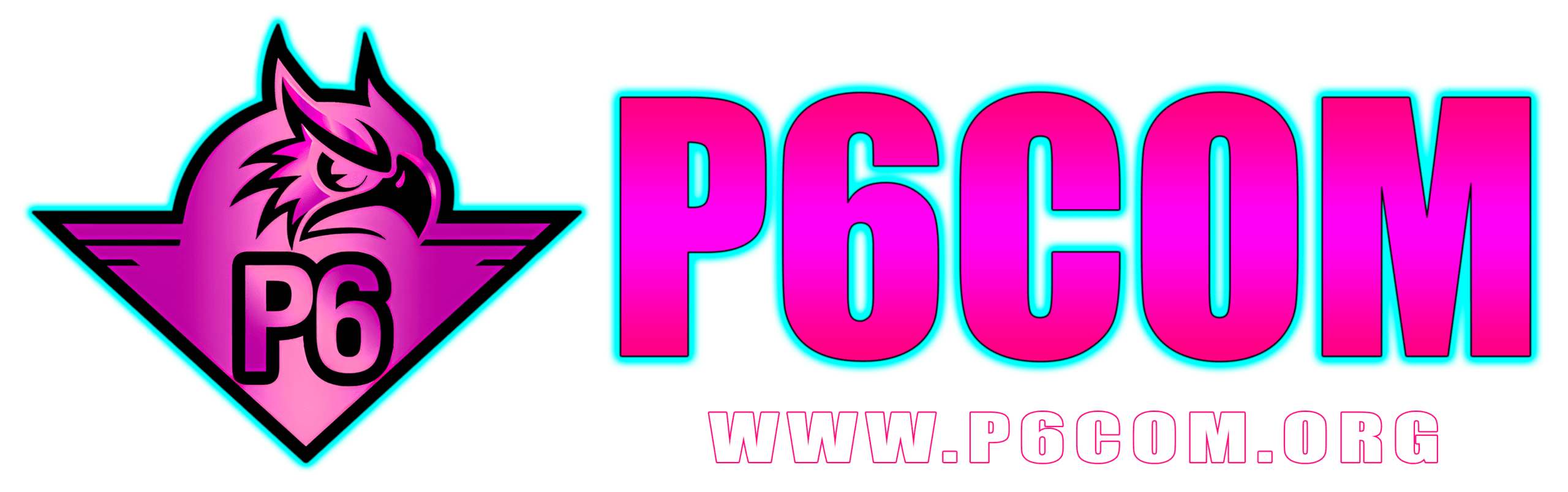 p6com